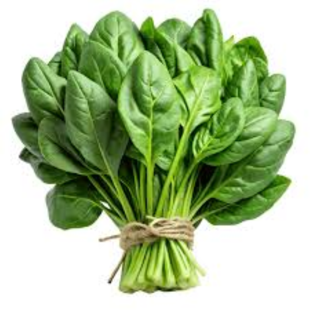 FRESH SPINACH